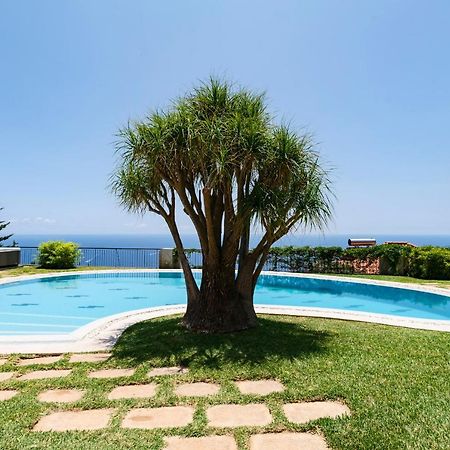Vila Eucalipto By An Island Apart Funchal  Bagian luar foto